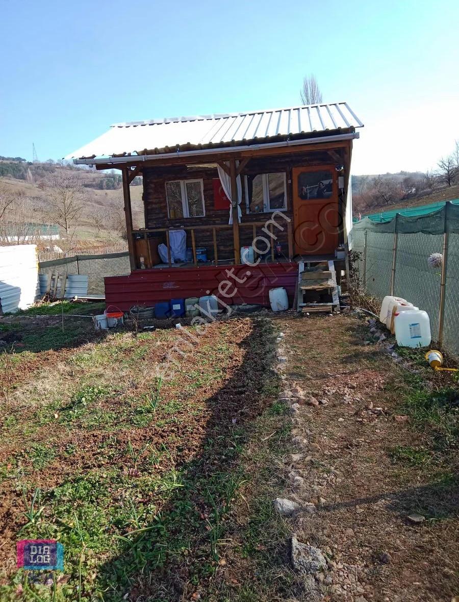 Dialog Skala'dan Hobi Bahçesi