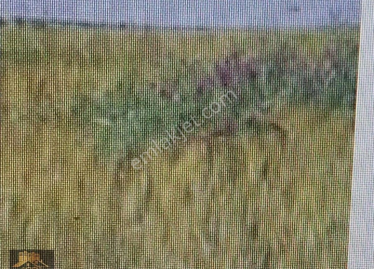 Erzinde Uygun Fiatlı Satlık İmarlı Arsa
