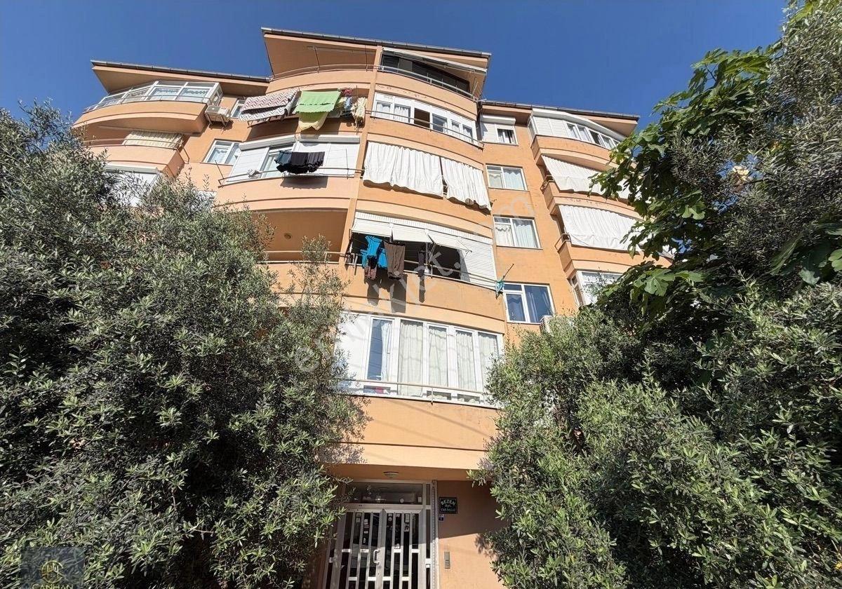 Alanya Cikcilli Mahallesinde Kiralık 2+1 Amerikan Mutfak Daire
