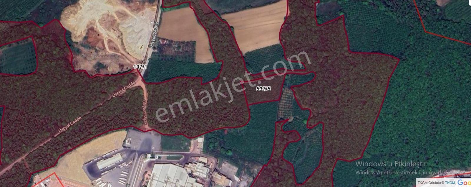 Söğütlü O.s.b Sınırında 5.261 M2 Orman Yoluna Cepheli Fındıklık - Görsel 10