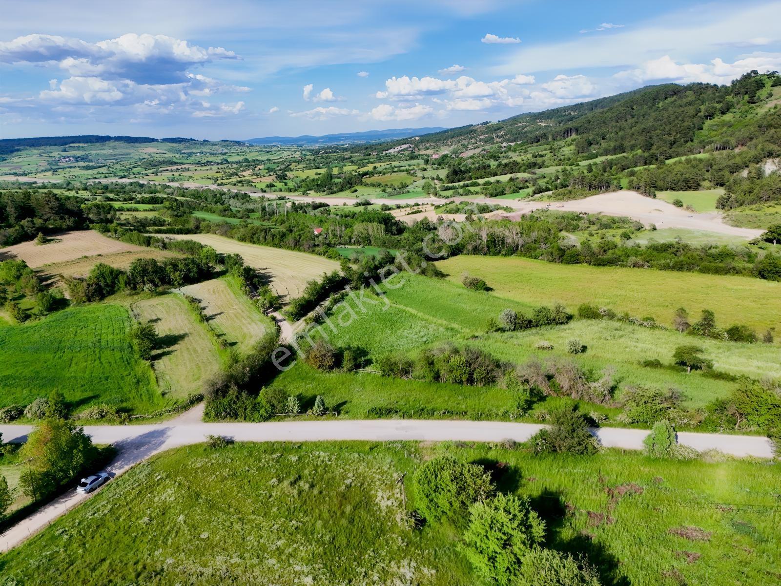 Kastamonu Emlak Gayrimenkul'den Satılık 1159m² Köşe Fırsat Arazi - Görsel 8