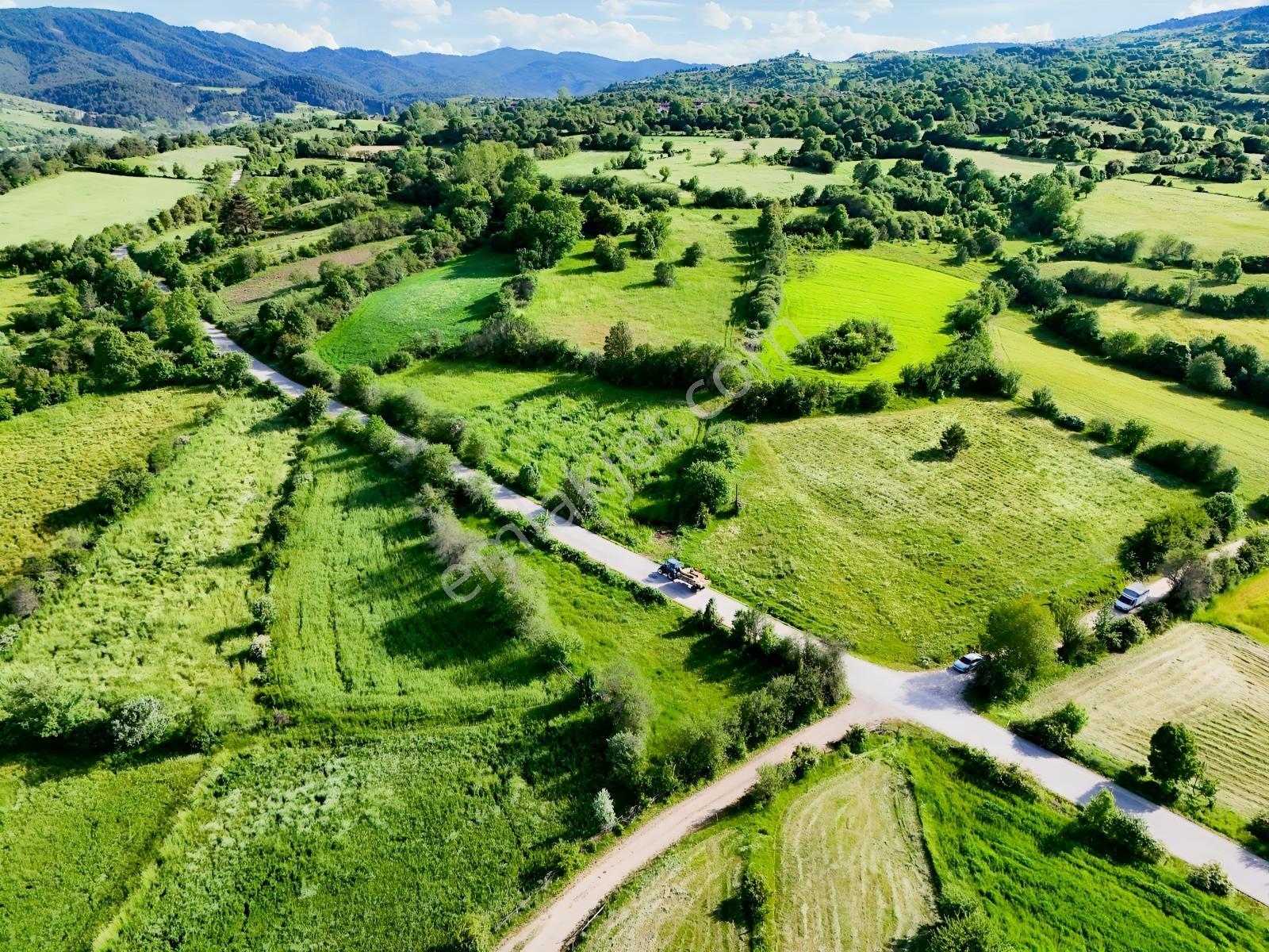 Kastamonu Emlak Gayrimenkul'den Satılık 1159m² Köşe Fırsat Arazi - Görsel 3