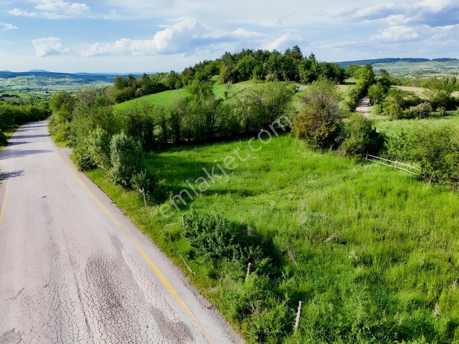 Kastamonu Emlak Gayrimenkul'den Satılık 1159m² Köşe Fırsat Arazi - Görsel 10