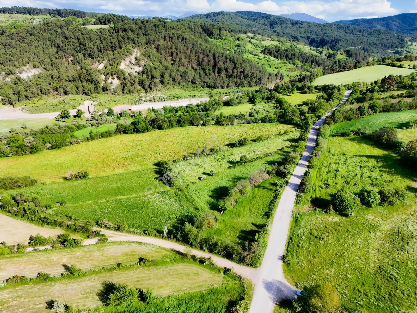 Kastamonu Emlak Gayrimenkul'den Satılık 1159m² Köşe Fırsat Arazi - Görsel 6