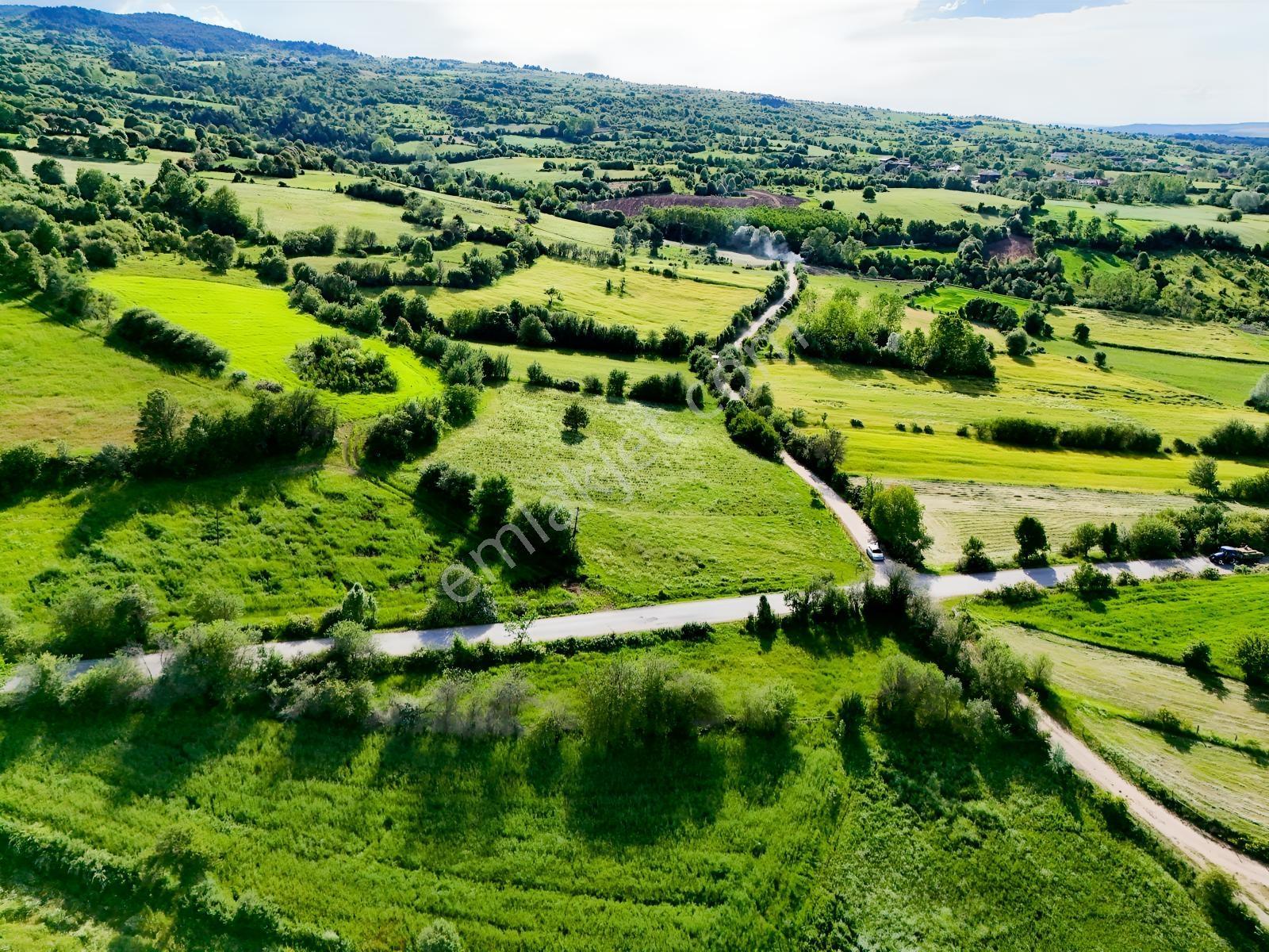 Kastamonu Emlak Gayrimenkul'den Satılık 1159m² Köşe Fırsat Arazi - Görsel 5