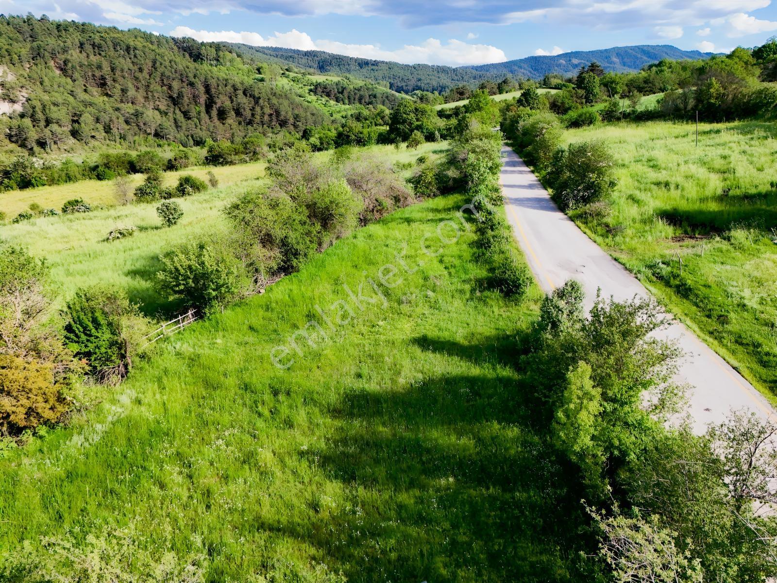 Kastamonu Emlak Gayrimenkul'den Satılık 1159m² Köşe Fırsat Arazi - Görsel 4