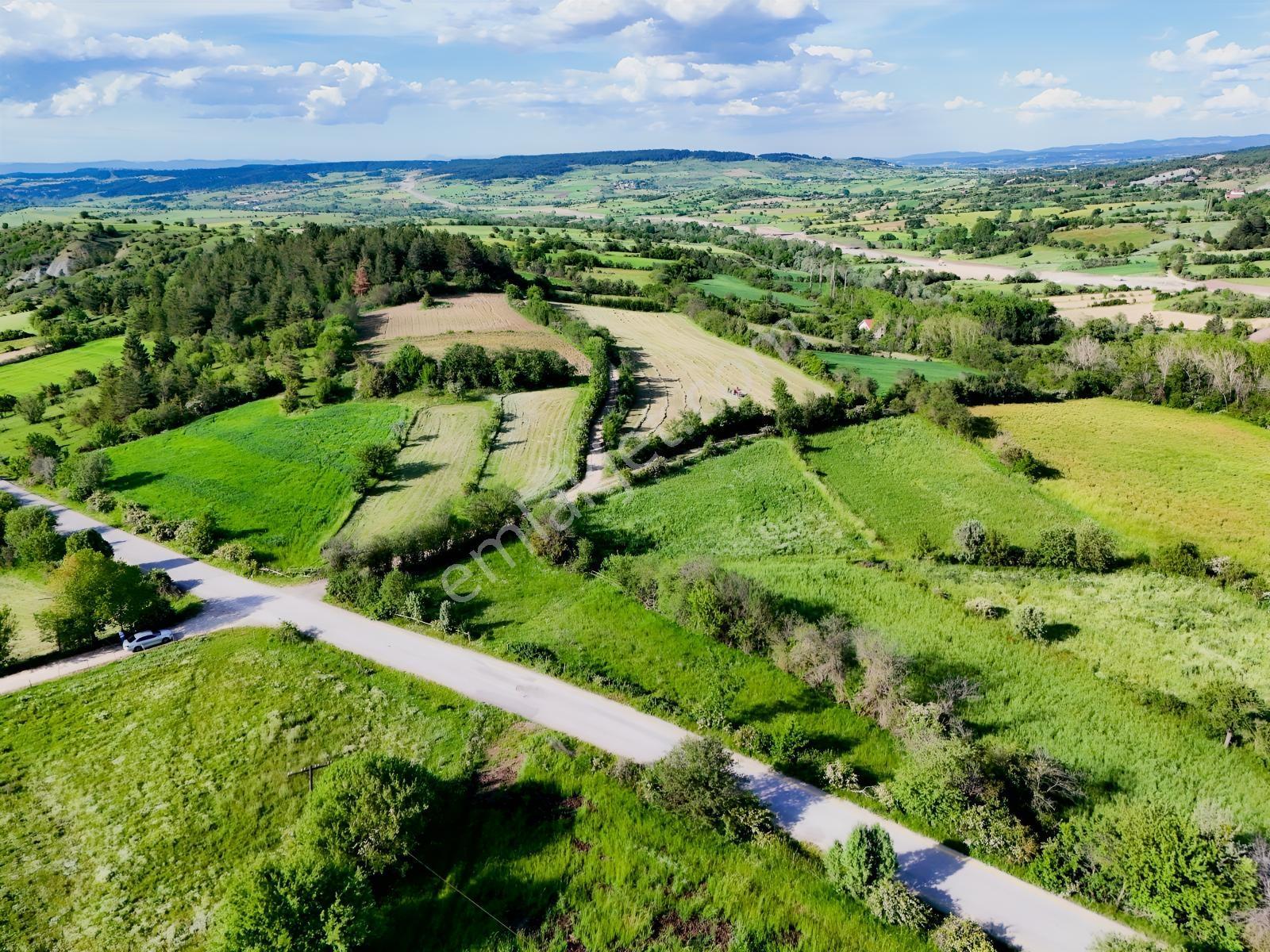 Kastamonu Emlak Gayrimenkul'den Satılık 1159m² Köşe Fırsat Arazi - Görsel 13