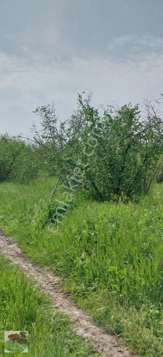 Sakaryanın Erenler İlçesinde Satılık Tarla - Görsel 8