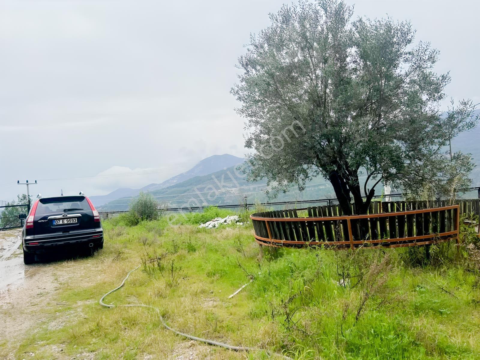 Üzümlü Köyünde Satılık Bahçe 3 Katlı İmara Uygun Çiftlik Evi - Görsel 4