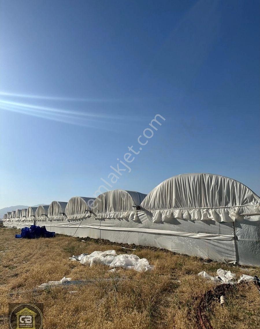 Baloğlu Gayrimen'kul'den Bayralar Mh.6.000m²bakımlı Satılık Sera - Görsel 17