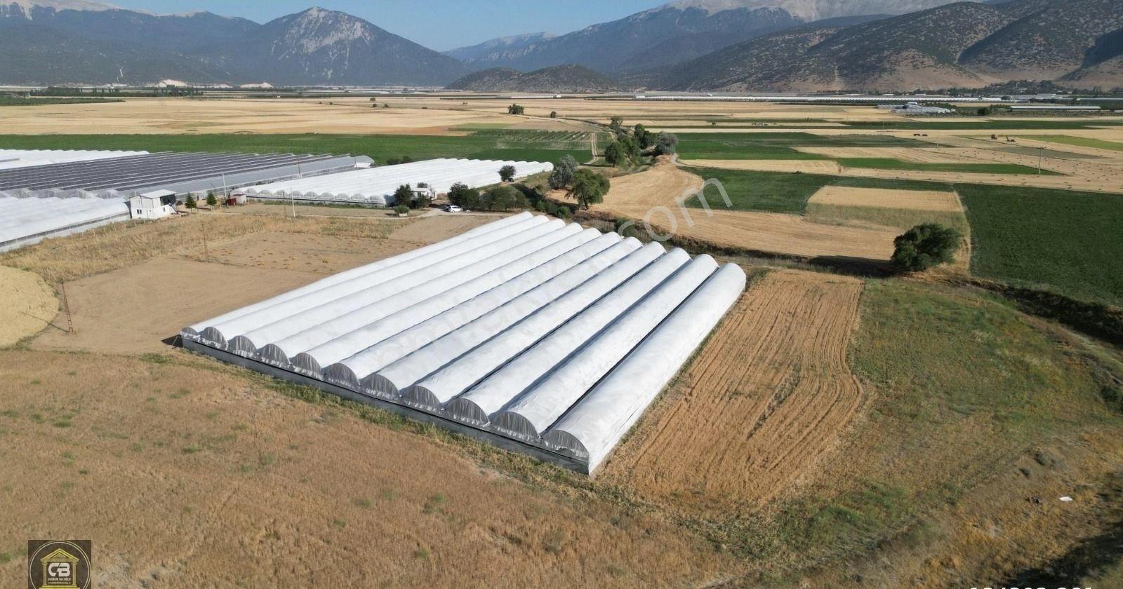Baloğlu Gayrimen'kul'den Bayralar Mh.6.000m²bakımlı Satılık Sera - Görsel 27