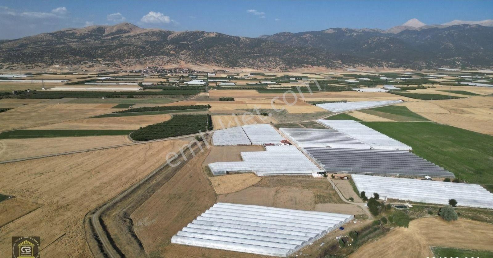 Baloğlu Gayrimen'kul'den Bayralar Mh.6.000m²bakımlı Satılık Sera - Görsel 34