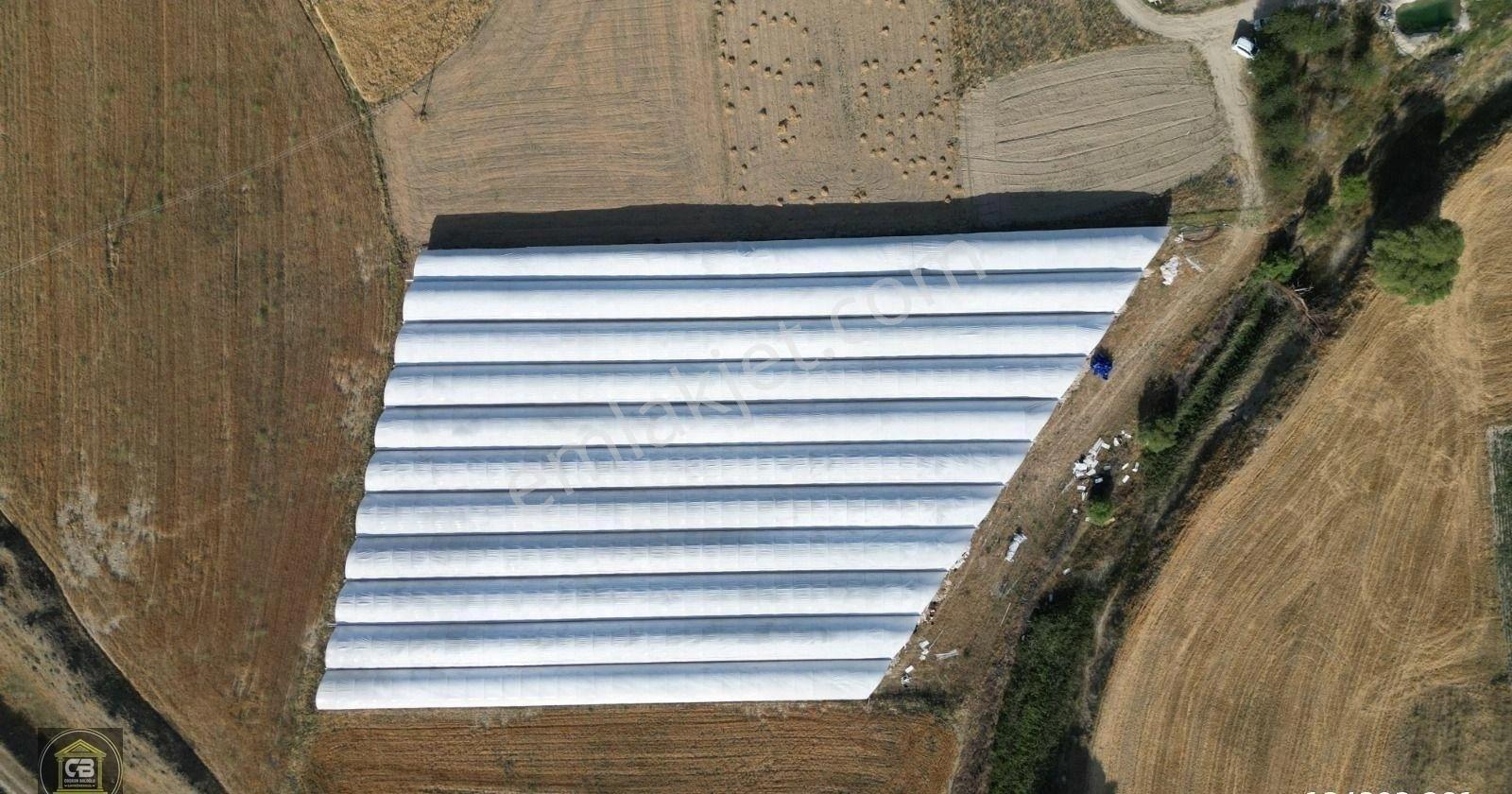 Baloğlu Gayrimen'kul'den Bayralar Mh.6.000m²bakımlı Satılık Sera - Görsel 14