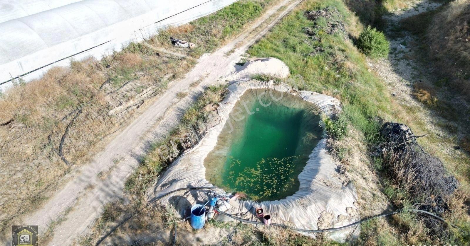 Baloğlu Gayrimen'kul'den Bayralar Mh.6.000m²bakımlı Satılık Sera - Görsel 25