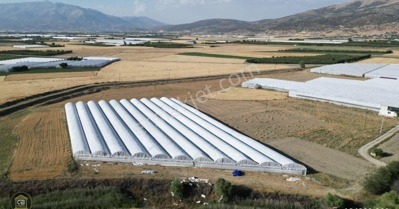 Baloğlu Gayrimen'kul'den Bayralar Mh.6.000m²bakımlı Satılık Sera - Görsel 8