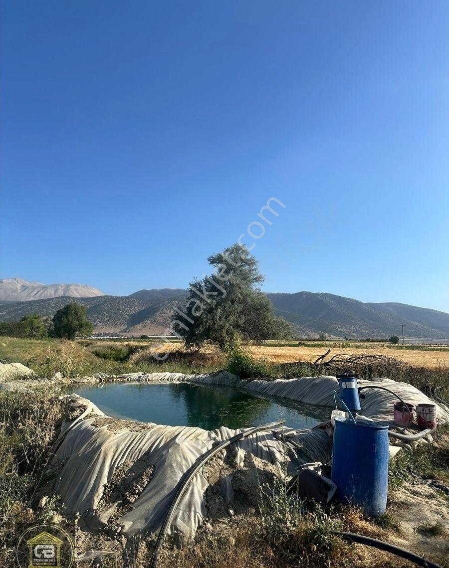 Baloğlu Gayrimen'kul'den Bayralar Mh.6.000m²bakımlı Satılık Sera - Görsel 20
