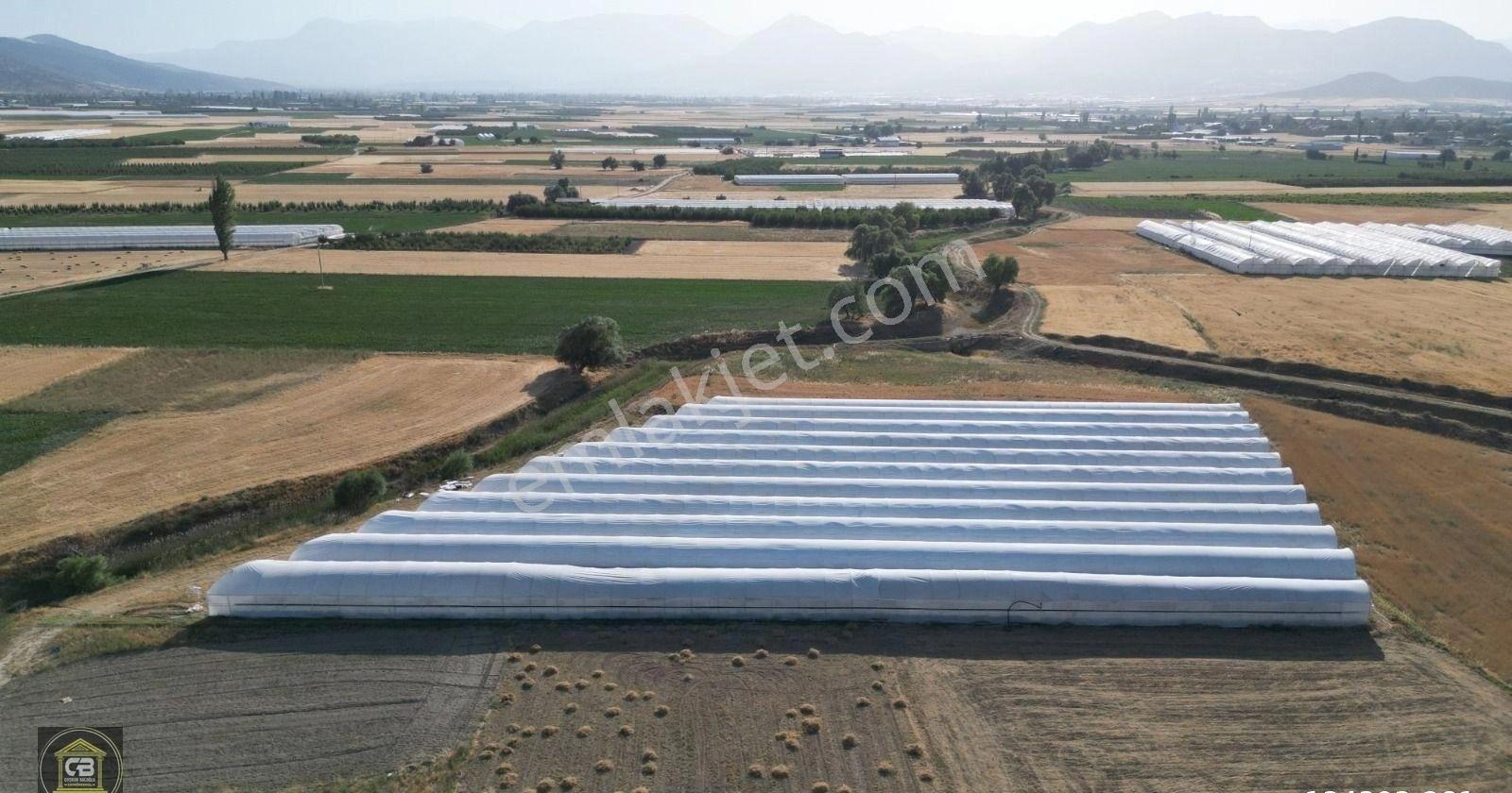 Baloğlu Gayrimen'kul'den Bayralar Mh.6.000m²bakımlı Satılık Sera - Görsel 31