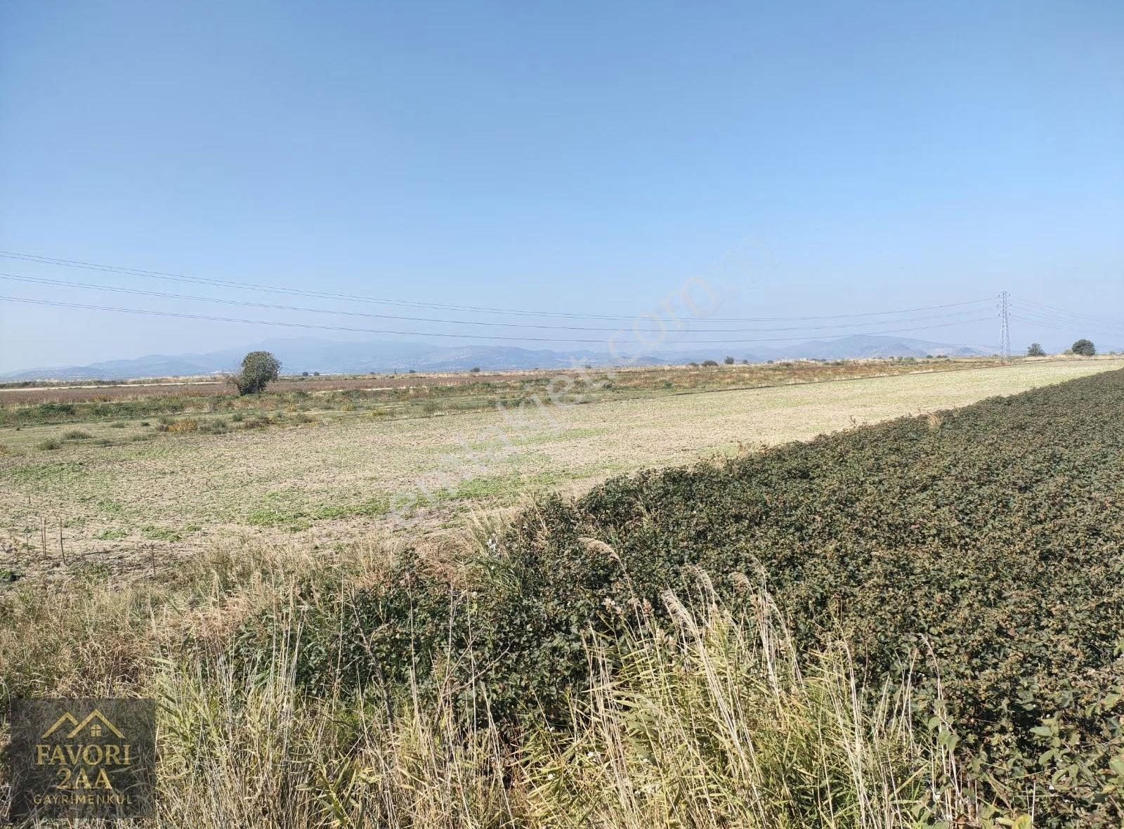 Bergama Yenikoyde Verimli Tarım Arazisi - Görsel 14
