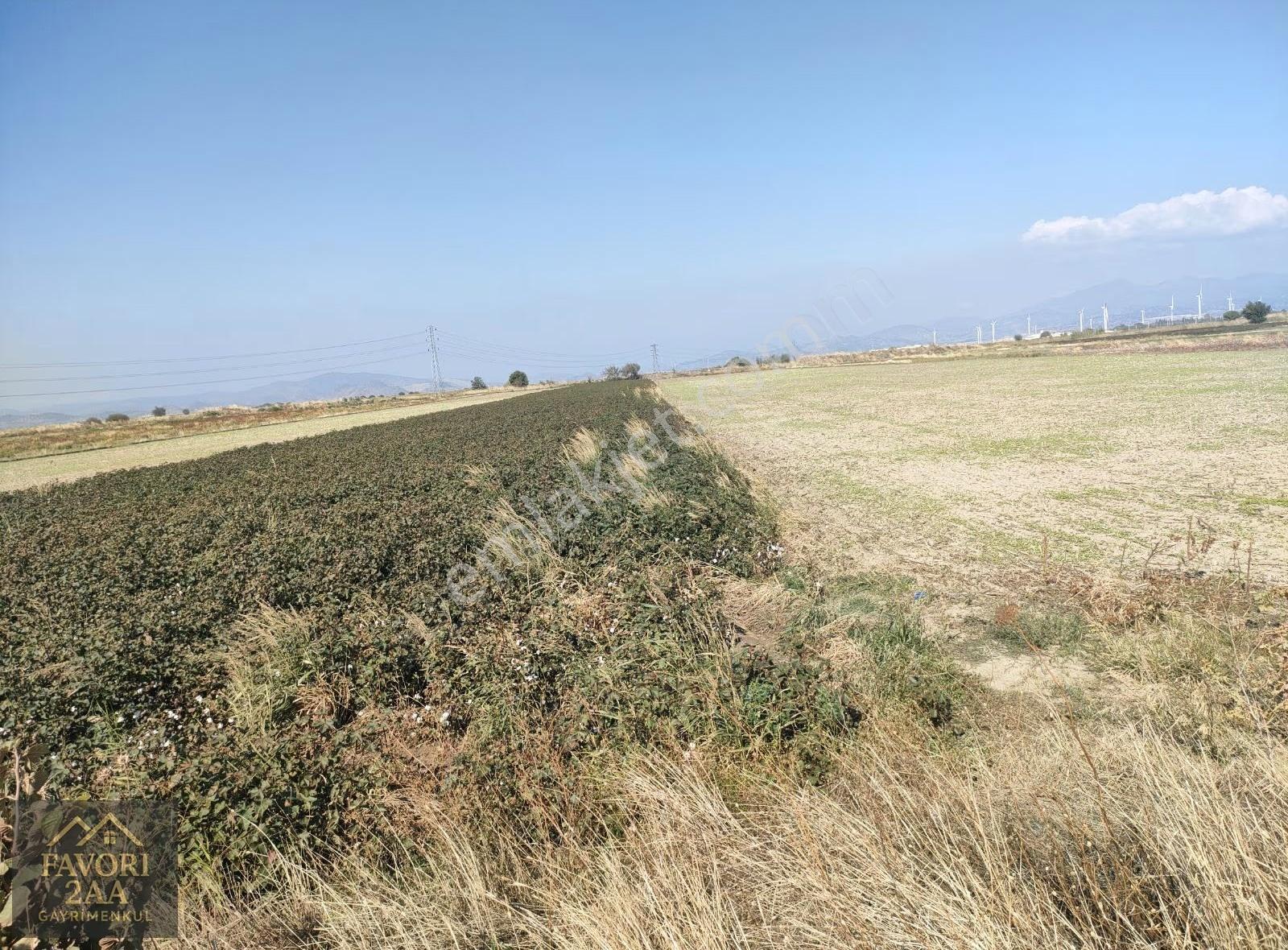 Bergama Yenikoyde Verimli Tarım Arazisi - Görsel 7