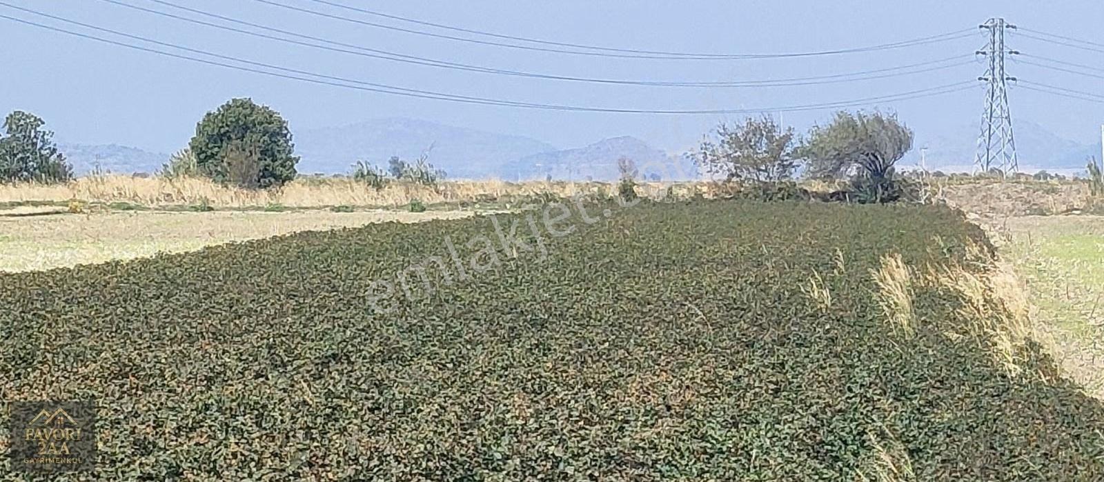 Bergama Yenikoyde Verimli Tarım Arazisi - Görsel 2