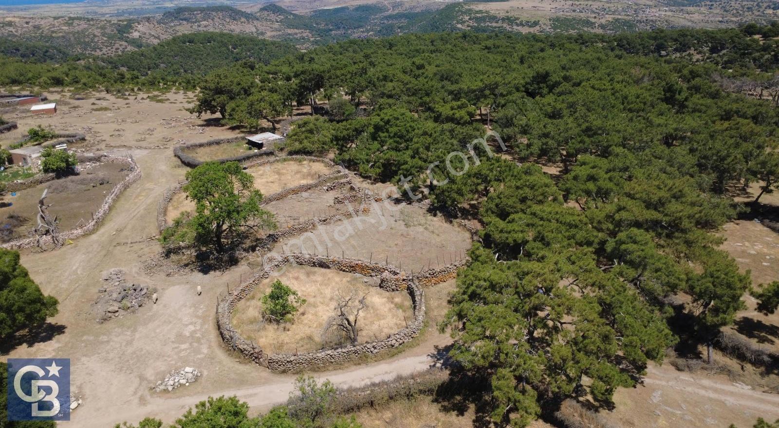 Cb Odak"tan Kaz Dağları Eteklerinde Deniz Manzaralı Arsa - Görsel 6
