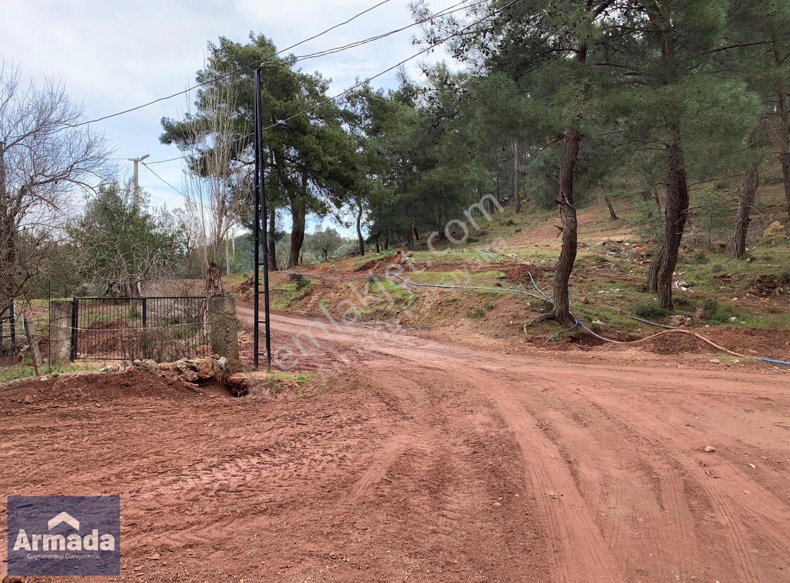 Menderes Yeniköy Merkez Satılık Zeytinli Tarla 250m2 Çiftlikevi - Görsel 7