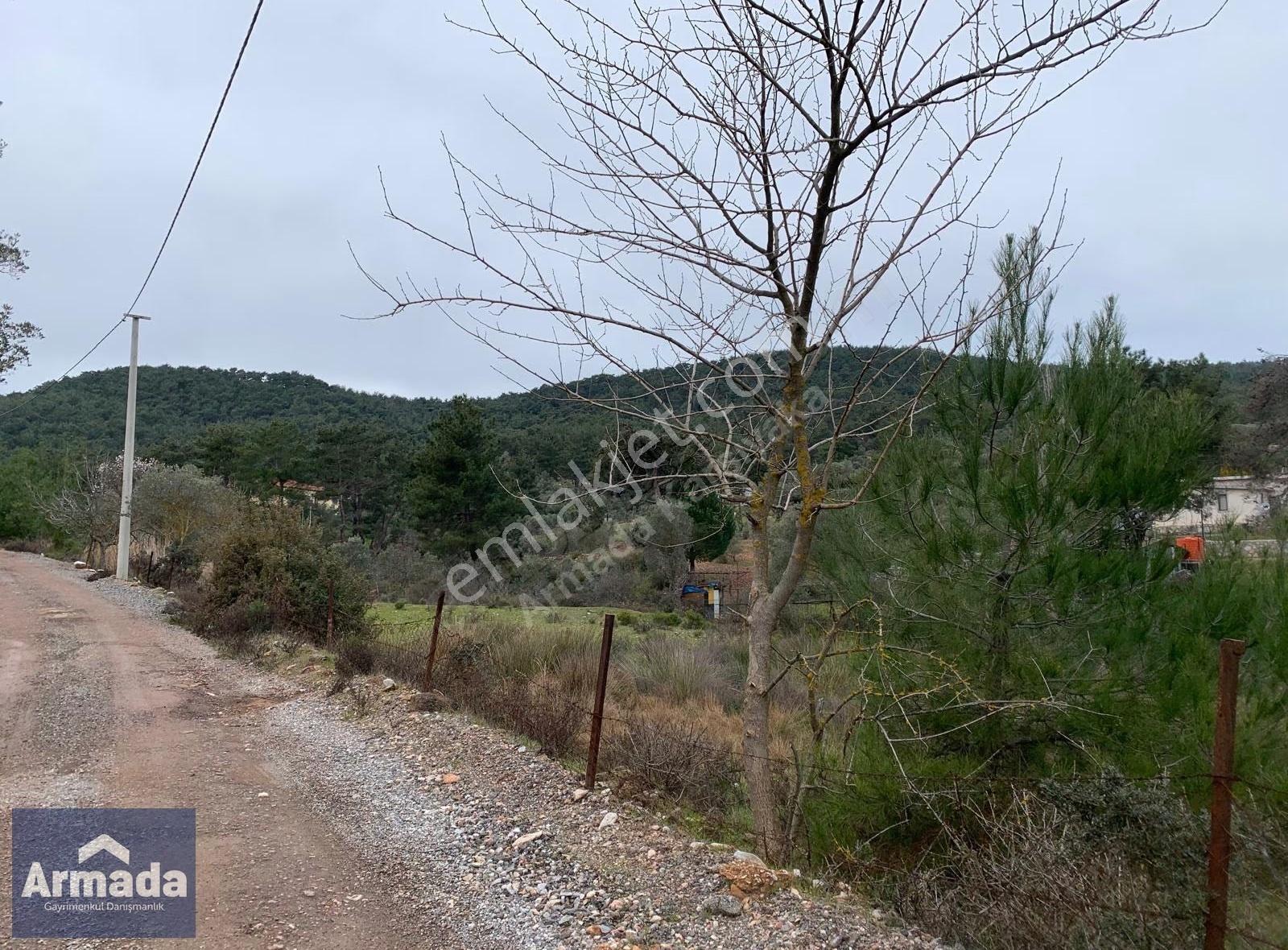 Menderes Yeniköy Merkez Satılık Zeytinli Tarla 250m2 Çiftlikevi - Görsel 12