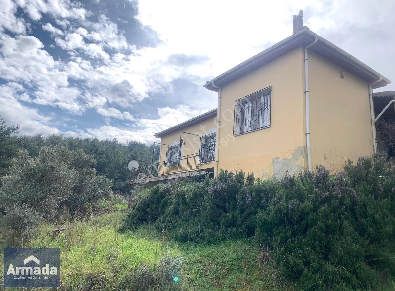 Menderes Yeniköy Merkez Satılık Zeytinli Tarla 250m2 Çiftlikevi - Görsel 8