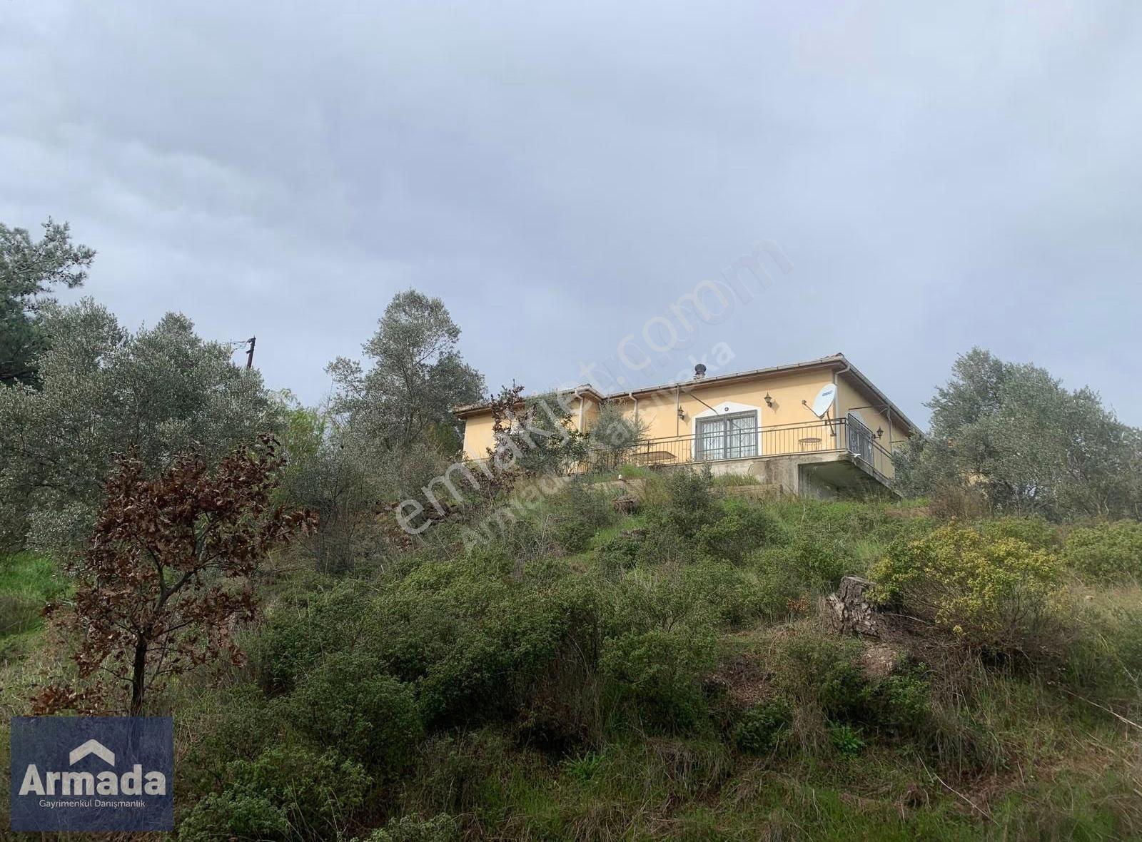 Menderes Yeniköy Merkez Satılık Zeytinli Tarla 250m2 Çiftlikevi - Görsel 2