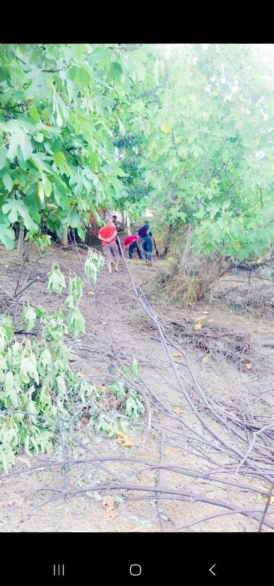 Acarlar Emlaktan Sinop Türkeli Işıklı Köyü Satılık Tarla - Görsel 5