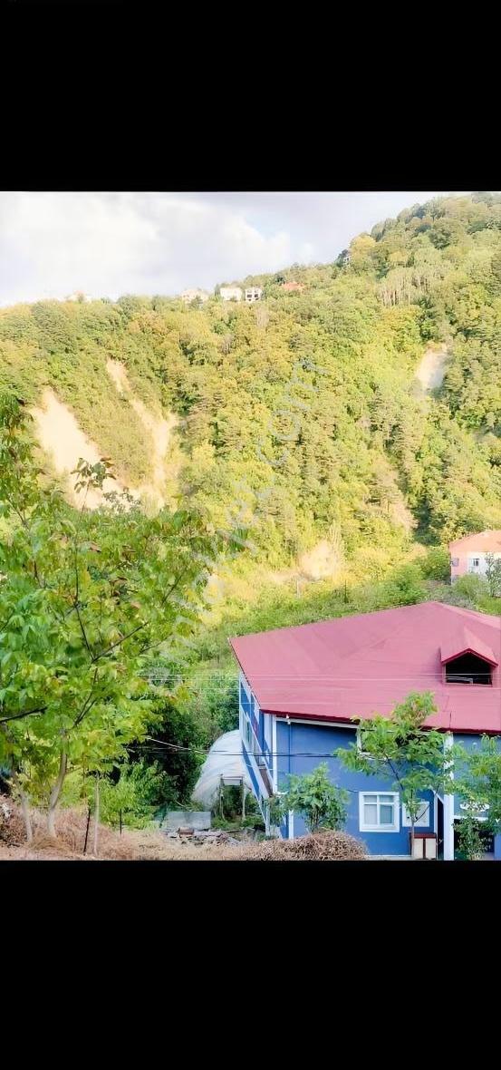 Acarlar Emlaktan Sinop Türkeli Işıklı Köyü Satılık Tarla - Görsel 14