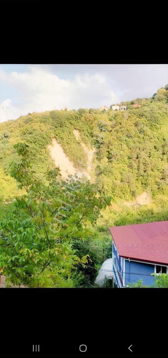 Acarlar Emlaktan Sinop Türkeli Işıklı Köyü Satılık Tarla - Görsel 3