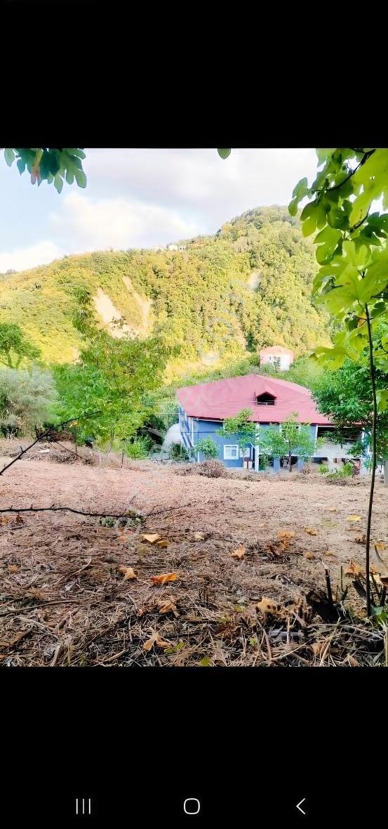 Acarlar Emlaktan Sinop Türkeli Işıklı Köyü Satılık Tarla - Görsel 15