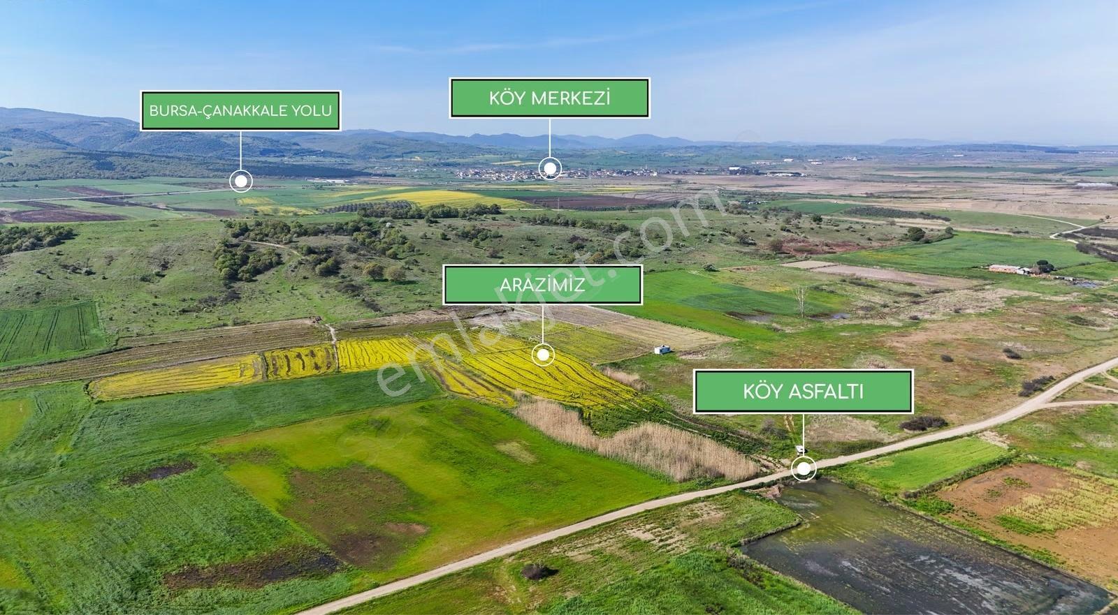 Çanakkale Biga Güvemalan'da Denize Yakın 6.000 M² Arazi - Görsel 17
