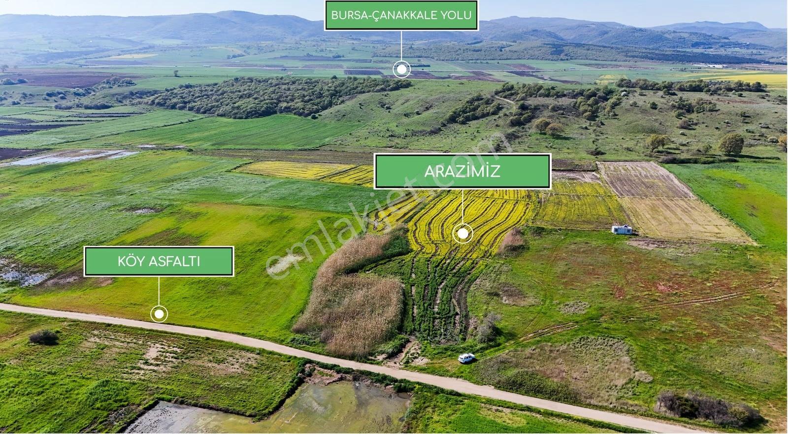 Çanakkale Biga Güvemalan'da Denize Yakın 6.000 M² Arazi - Görsel 28