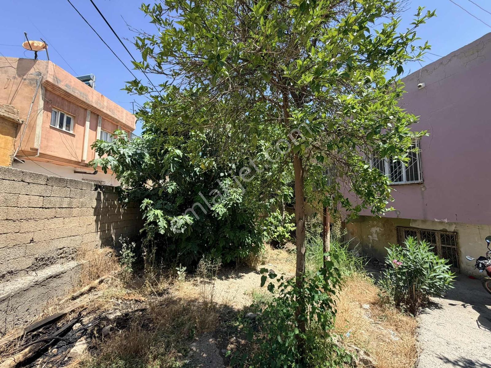 Acar Emlak Acil Satılık Yenituran Mah 560 M2 Müstakil Bahçeliev - Görsel 24