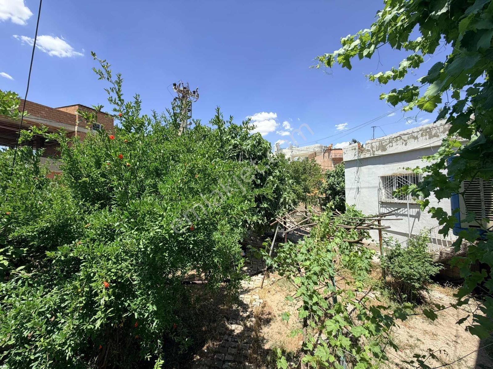 Acar Emlak Acil Satılık Yenituran Mah 560 M2 Müstakil Bahçeliev - Görsel 22
