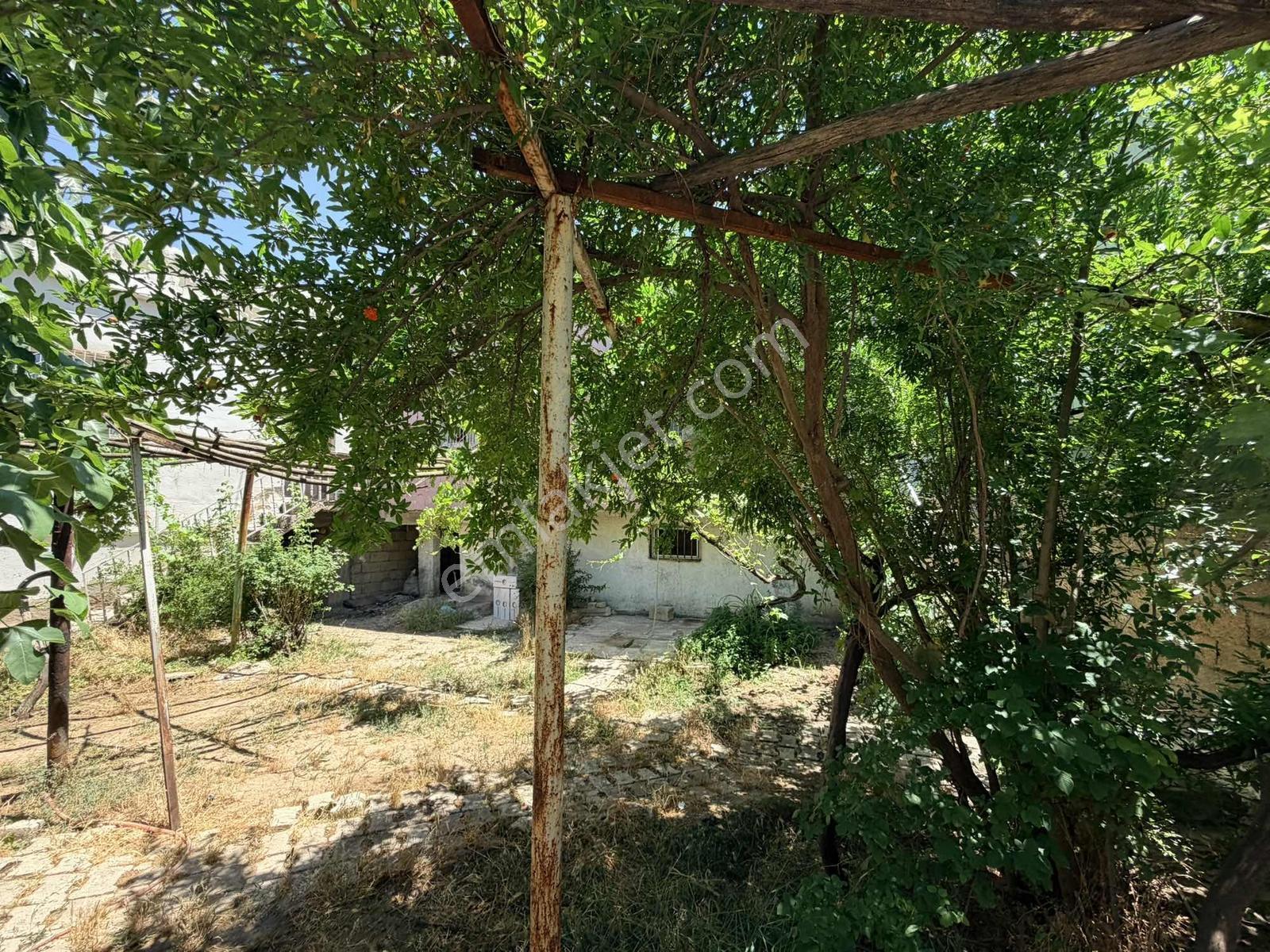 Acar Emlak Acil Satılık Yenituran Mah 560 M2 Müstakil Bahçeliev - Görsel 2
