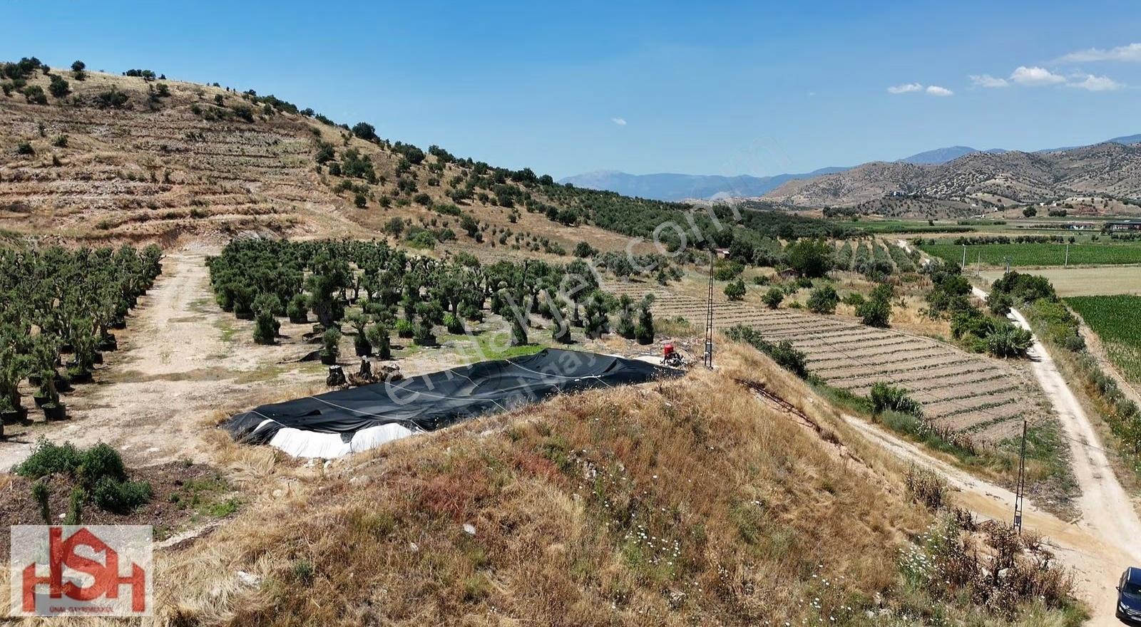 Kaymakçı'da Elektriği Ve Suyu Olan Teraslı Yarım Dağ. - Görsel 3