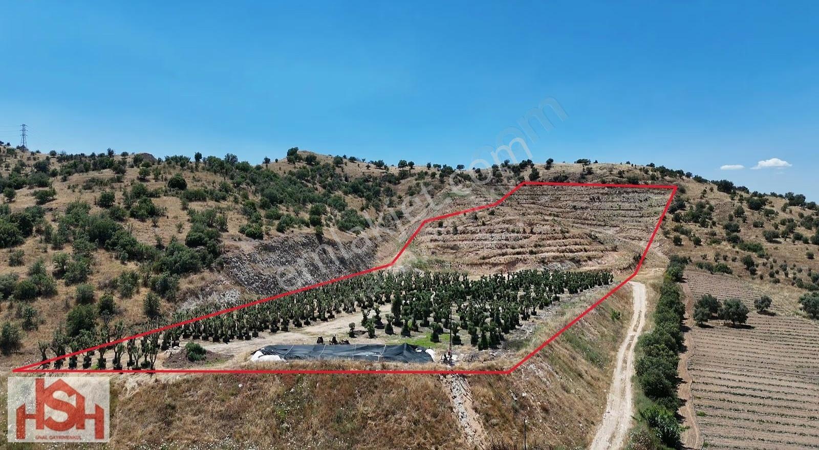 Kaymakçı'da Elektriği Ve Suyu Olan Teraslı Yarım Dağ.