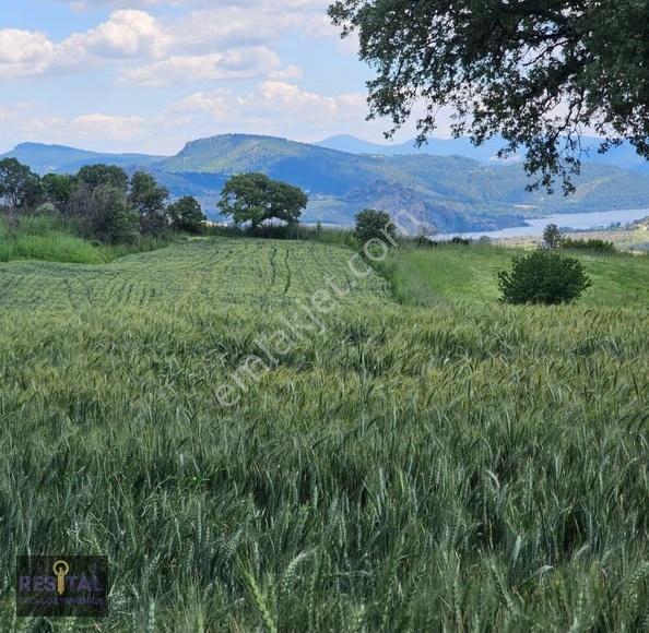 Çanakkale Kemel Köyünde Satılık Harıka Konumda Tarla - Görsel 22
