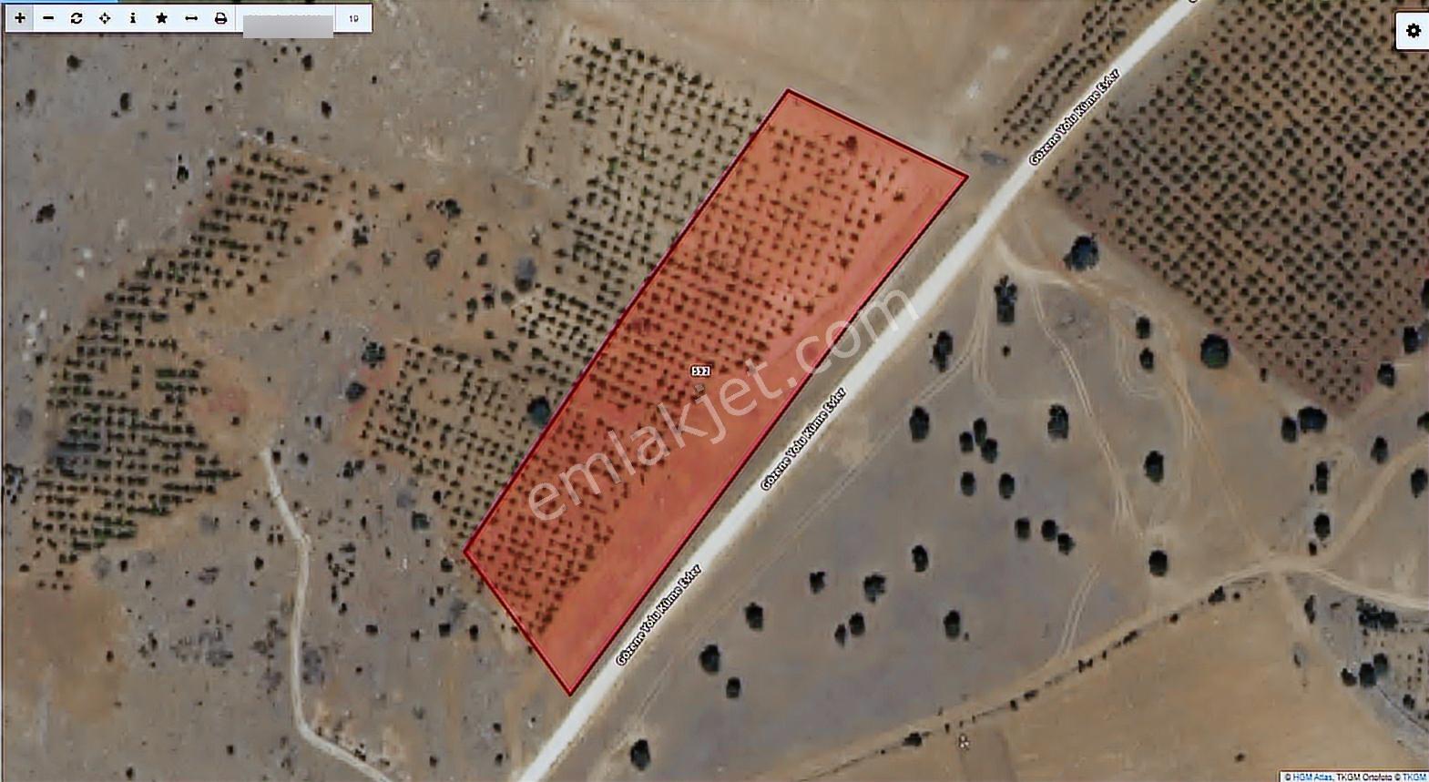 Malatya Yeşilyurt Gözene Dutlukuyu'da 39.500m2 Satılık Arsa