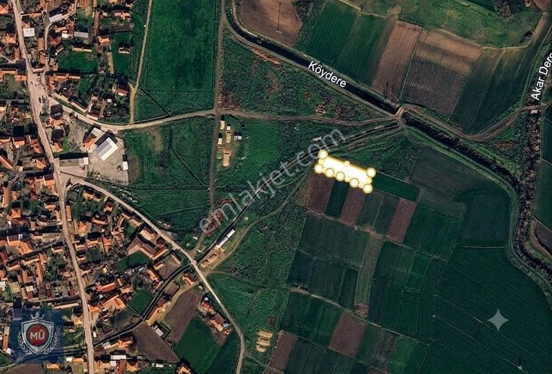 Edirne Havsa Naipyusuf Köy İçi Bahçe 1000 M2 Satılık - Görsel 7
