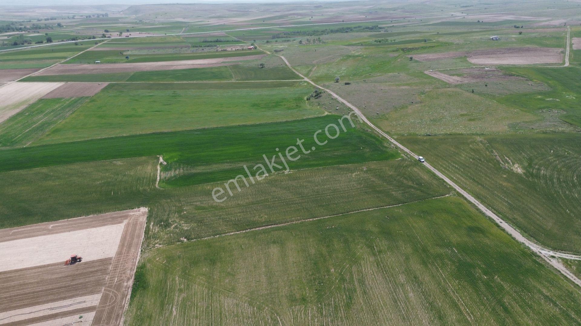 Konya Akören Çatören Mahallesinde Yatırımlık Satılık Tarla - Görsel 3