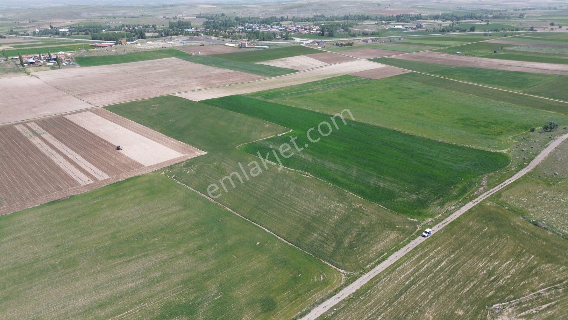 Konya Akören Çatören Mahallesinde Yatırımlık Satılık Tarla - Görsel 2