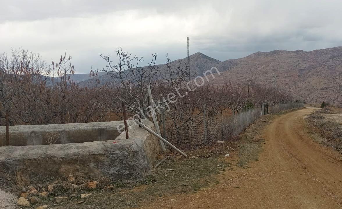 Konya Satılık Bahçe - Görsel 13