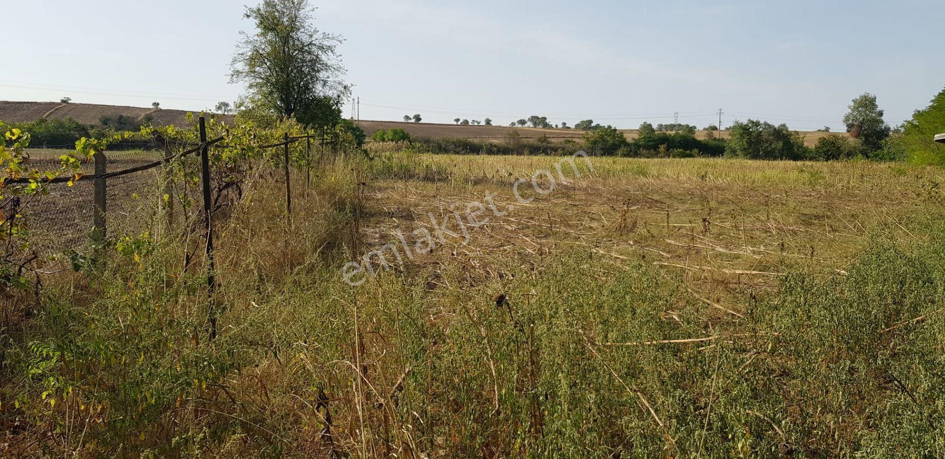 Edirne-hamzabeyli Gümrük Yolu Üzerinde 100m Cepheli Satılık 11.000 M² Yatırımlık Arazi - Görsel 4
