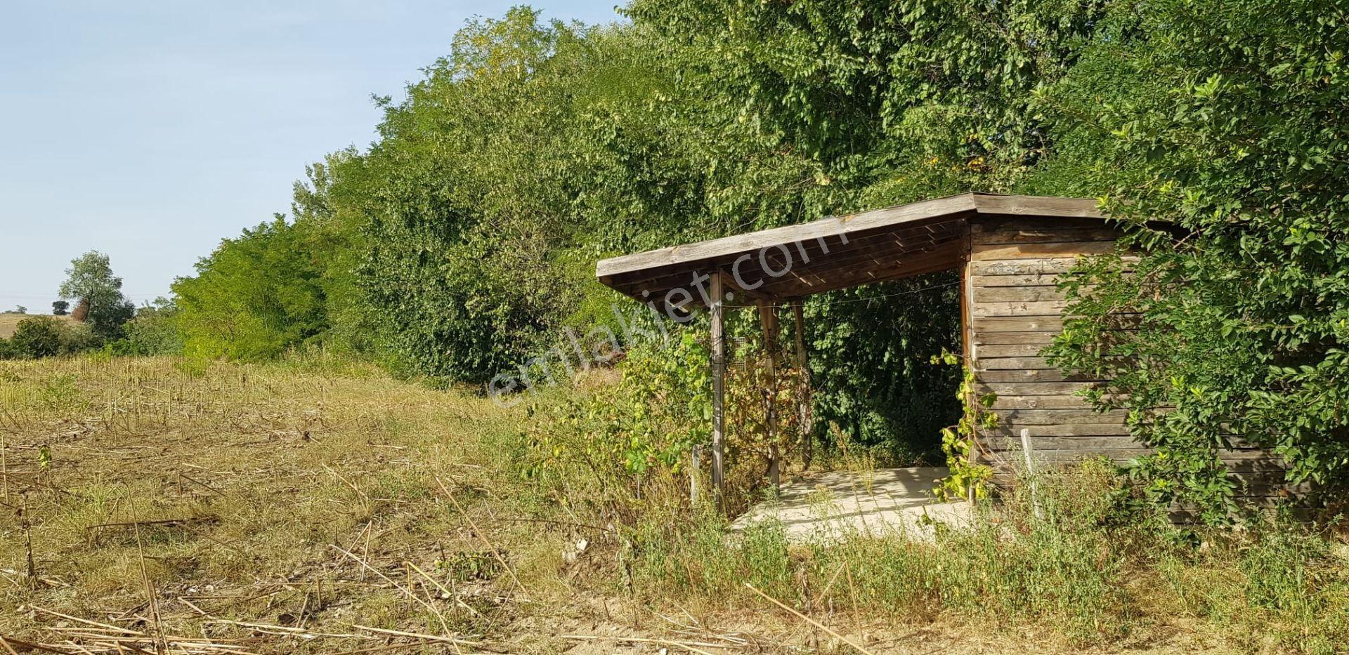 Edirne-hamzabeyli Gümrük Yolu Üzerinde 100m Cepheli Satılık 11.000 M² Yatırımlık Arazi - Görsel 3