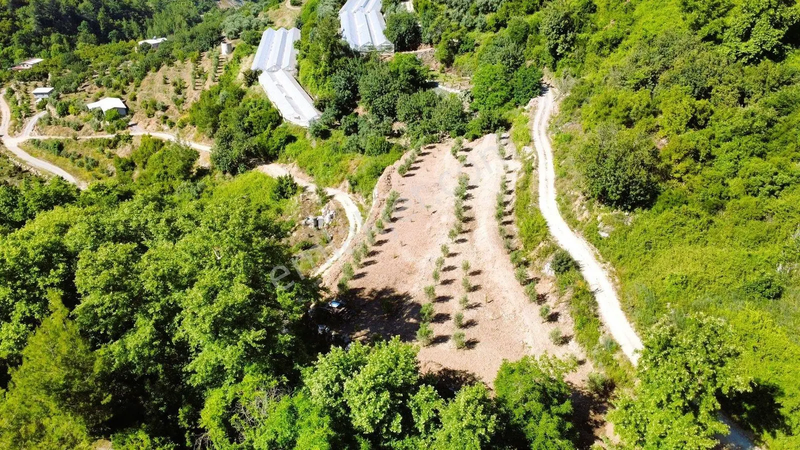 Alanya Hacıkerimler'de Satılık 2.183 M2 Masrafsız Zeytin Bahçesi - Görsel 12