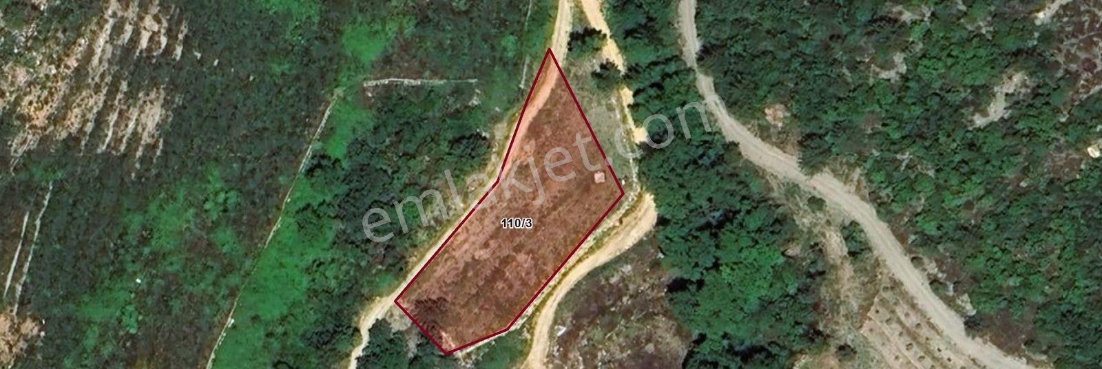 Alanya Hacıkerimler'de Satılık 2.183 M2 Masrafsız Zeytin Bahçesi - Görsel 27